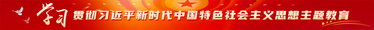 學習貫徹習近平新時代中國特色社會主義思想主題教育